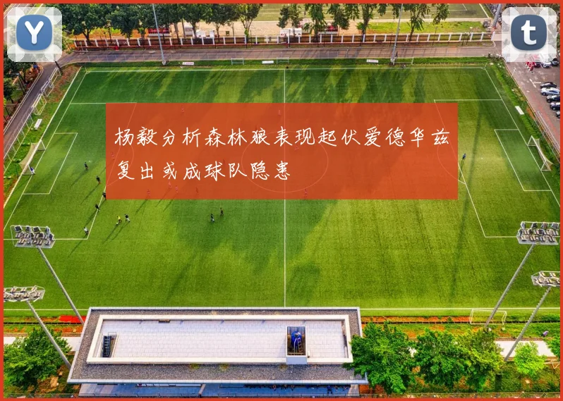 杨毅分析森林狼表现起伏爱德华兹复出或成球队隐患